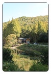 10/18논산 온빛 자연휴양림,도로공사 전주수목원,관촌 사선대,임실치즈... 10/18논산 온빛 자연휴양림,도로공사 전주수목원,관촌 사선대... 