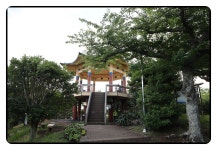 7/12제주,이호테우 버베나꽃밭,비밀의숲,두산봉,글렌코카페,사라봉... 버베나꽃밭,비밀의숲,두산봉,글렌코카페,사라봉,용연구름다리
