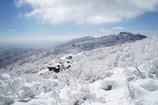 눈이오면 가볼만한곳: 대둔산,발왕산,덕유산,원대리 자작나무숲길... 눈이오면 가볼만한곳: 대둔산,발왕산,덕유산,원대리 자작나무숲길,무등산