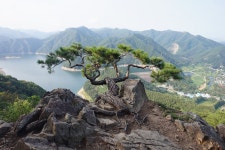 “아름다운 대아댐 조망“ 암능 과 노송의 조화가 절묘한 운암산 산행... 3산악회 “아름다운 대아댐 조망“ 암능 과 노송의 조화가 절묘한... 