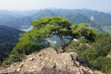 “아름다운 대아댐 조망“ 암능 과 노송의 조화가 절묘한 운암산 산행... 3산악회 “아름다운 대아댐 조망“ 암능 과 노송의 조화가 절묘한... 