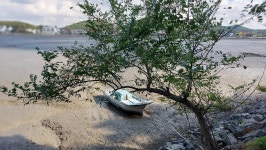 대부 해솔길 5코스 - 산행후기사진 - 암 극복 산행기 대부 해솔길 5코스