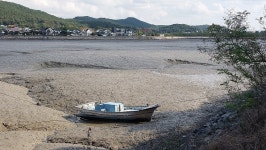 대부 해솔길 5코스 - 산행후기사진 - 암 극복 산행기 대부 해솔길 5코스
