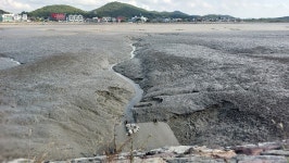 대부 해솔길 5코스 - 산행후기사진 - 암 극복 산행기 대부 해솔길 5코스