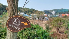 대부 해솔길 5코스 - 산행후기사진 - 암 극복 산행기 대부 해솔길 5코스