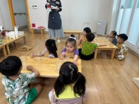 🍯 매실청을 담가요! - 2026 열매반 - 구립 서연어린이집 🍯 매실청을 담가요!