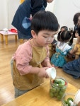🍯 매실청을 담가요! - 2026 열매반 - 구립 서연어린이집 🍯 매실청을 담가요!