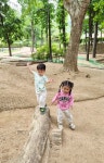 신기한 놀이터에 다녀왔어요~~^^ - 2026 풀잎반 - 구립 서연어린이집 신기한 놀이터에 다녀왔어요~~^^