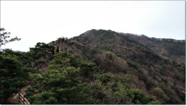 제961차 2026년3월21일(토) 전남 구례 오산(530m),둥주리봉(690m)정기산행”명산100+” - ★ 주간 산행 안내 ★ - 청주토요산악회... 