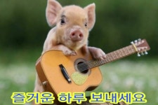 🍒멋진삶🍒 - 일반 게시판 - 김해 월남전참전.고엽제 전우회 🍒멋진삶🍒