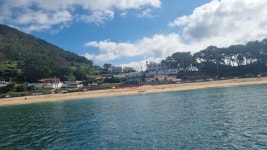 2025년 비진도투어 앨범 - 카페 앨범 - 통영윈드서핑협회 2025년 비진도투어 앨범