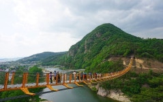 9월 22일 목요일 05시출발 국내최대 메타세콰이어숲 화인산림욕장&4월 개통 금산 월영산 출렁다리 점심은 인삼어죽 신청 - 호반 목요 정기... 