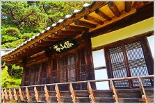 ■종료)10월2일(목) 대한민국 구석구석(안동편)낙동강변,퇴계오솔길(예던길)고산정-농암고택+하회마을 개미취꽃 축제+봉정사 당일 - 호반 목요... 