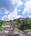 제주한라산철쭉+장생이숲길+마노르블랑 수국 정원 카페 멍때리기... 제주한라산철쭉+장생이숲길+마노르블랑 수국 정원 카페 멍때리기 1박2일... 