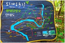 ■종료)10월2일(목) 대한민국 구석구석(안동편)낙동강변,퇴계오솔길(예던길)고산정-농암고택+하회마을 개미취꽃 축제+봉정사 당일 - 호반 목요... 