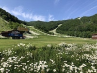 샤스데이지꽃길~마천봉 하늘길 태백한우 검용소 탐방 신청 - 호반... 리프트 왕복 샤스데이지꽃길~마천봉 하늘길 태백한우 검용소 탐방 신청