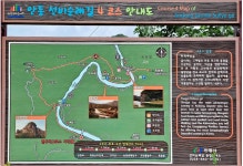 ■종료)10월2일(목) 대한민국 구석구석(안동편)낙동강변,퇴계오솔길(예던길)고산정-농암고택+하회마을 개미취꽃 축제+봉정사 당일 - 호반 목요... 