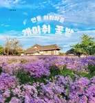 ■종료)10월2일(목) 대한민국 구석구석(안동편)낙동강변,퇴계오솔길(예던길)고산정-농암고택+하회마을 개미취꽃 축제+봉정사 당일 - 호반 목요... 