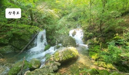 정선 항골 숨바우길+가리왕산케이블카+평창광천선굴 여행 - 호반 목요... 쉼이 있는 정선 항골 숨바우길+가리왕산케이블카+평창광천선굴 여행