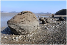 서해 웅도 조도 신비의바닷길 트레킹+부여 서동요 연꽃축제 - 호반... 선정 섬속의 섬 서해 웅도 조도 신비의바닷길 트레킹+부여 서동요 연꽃축제