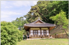 ■종료)10월2일(목) 대한민국 구석구석(안동편)낙동강변,퇴계오솔길(예던길)고산정-농암고택+하회마을 개미취꽃 축제+봉정사 당일 - 호반 목요... 