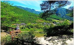 ■종료)10월2일(목) 대한민국 구석구석(안동편)낙동강변,퇴계오솔길(예던길)고산정-농암고택+하회마을 개미취꽃 축제+봉정사 당일 - 호반 목요... 