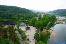 9월 22일 목요일 05시출발 국내최대 메타세콰이어숲 화인산림욕장&4월 개통 금산 월영산 출렁다리 점심은 인삼어죽 신청 - 호반 목요 정기... 