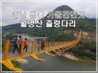 9월 22일 목요일 05시출발 국내최대 메타세콰이어숲 화인산림욕장&4월 개통 금산 월영산 출렁다리 점심은 인삼어죽 신청 - 호반 목요 정기... 