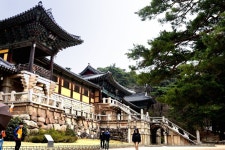 ■신청마감)26년4월2일(목)대한민국 구석구석 경주편신라 천년숨결 지켜온 토함산 정상+석굴암+불국사+대능원 돌담길 🌸 여행 - 호반 목요... 