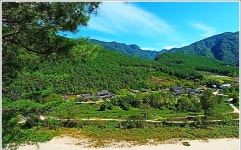 ■종료)10월2일(목) 대한민국 구석구석(안동편)낙동강변,퇴계오솔길(예던길)고산정-농암고택+하회마을 개미취꽃 축제+봉정사 당일 - 호반 목요... 