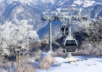 8월16일 수요일 출발 고산준령 정선탐색 가리왕산 케이블카... 고산준령 정선탐색 가리왕산 케이블카 자연휴양림 계곡트레킹 50년 노포의집... 