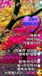 목요일 인사말 이미지 - ♥ ,·´″″°³카톡이미지 - 즐거운 추억만들기 목요일 인사말 이미지