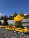 유성유림공원 국화축제 (10월18일부터 11월 3일까지축제기간 - 공 지 사 항 (필독) - 대전한빛건강산악회 유성유림공원 국화축제... 