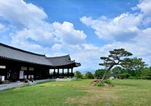 2025 -4월 6(일) /문학에서 그림까지 서도역 벚꽃 / 혼불 문학관/ 김병종미술관 - 2025 칼국수로드 - 명인방투어 명인방투어