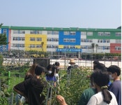 창원 마산 상남초등학교 텃밭가꾸기 활동4-곤충생태 알아보기... 체험학습 굴렁쇠 창원 마산 상남초등학교 텃밭가꾸기 활동4-곤충생태 알아보기