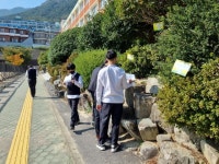 마산중학교 1학년- 신나게 놀면서 하는 숲생태 환경교육 - 일반 게시판 - 김해YMCA 마산중학교 1학년- 신나게 놀면서 하는 숲생태 환경교육