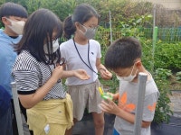 창원 마산 상남초등학교 텃밭가꾸기 활동4 - 자유게시판 - 푸른우포사람들 창원 마산 상남초등학교 텃밭가꾸기 활동4