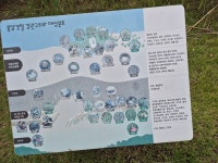 봉암갯벌 - 풍경 사진 - 체험학습 굴렁쇠 봉암갯벌