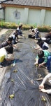 창원 마산 상남초등학교- 텃밭체험 활동1 - 우리들의 나눔터 - 창녕 그륵꿈는집 창원 마산 상남초등학교- 텃밭체험 활동1