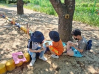 함안 월촌초등학교 학교숲을 활용한 생태환경교육6 - 자유게시판 - 푸른우포사람들 함안 월촌초등학교 학교숲을 활용한 생태환경교육6