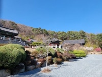 굴렁쇠배움터가 떠난 절 민속, 생태,역사 기행- 통도사 - 자유게시판 - 푸른우포사람들 굴렁쇠배움터가 떠난 절 민속, 생태,역사 기행- 통도사