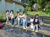 창원 마산 상남초등학교- 텃밭체험 활동1 - 우리들의 나눔터 - 창녕 그륵꿈는집 창원 마산 상남초등학교- 텃밭체험 활동1