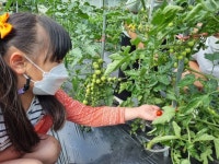 창원 마산 상남초등학교 텃밭가꾸기 활동4 - 자유게시판 - 푸른우포사람들 창원 마산 상남초등학교 텃밭가꾸기 활동4