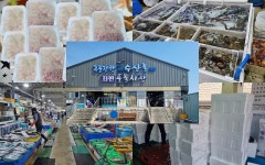 강릉 막썰어회 4인분+ 멍게서비스 전국 신속배달go(단체환영)... 보물창꼬 ☆ 강릉 막썰어회 4인분+ 멍게서비스 전국 신속배달go(단체환영)