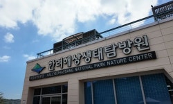 한려해상생태탐방원~ 가성비 대박 숙소, 해양레포츠와 어촌문화 - 전국펜션콘도민박☆ - ☆ 보물창꼬 ☆ 한려해상생태탐방원~ 가성비 대박 숙소... 
