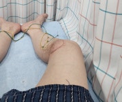 전갑술한의원 - 사랑방 - 문화류씨 - 뿌리 깊은 버드나무 전갑술한의원