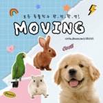 요새 여론 갈린다는 두찜.JPG - Soul Lounge - 소울드레서 (SoulDresser) 소울드레서 (SoulDresser)