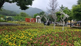 산정호수 - 2023산행사진 - 행복한일심산악회 산정호수