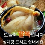 오늘이 말복입니다 - …………자유게시판 - 학사모 오늘이 말복입니다