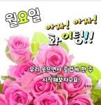 새해 둘쨋날 월요일 - ┃…………자유게시판┃ - ♡학사모♡ 새해 둘쨋날 월요일